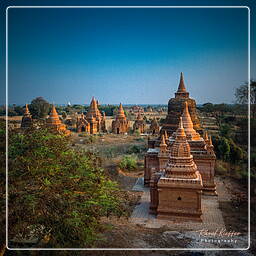 Birmanie (422) Bagan