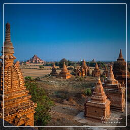 Birmania (425) Bagan