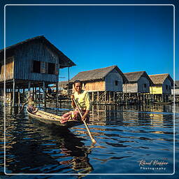 Birmanie (571) Inle