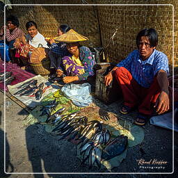 Birmanie (574) Inle - Marché aux poissons