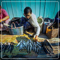 Myanmar (576) Inle - Fish Market