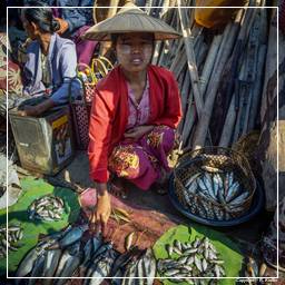 Birmania (580) Inle - Mercato del pesce