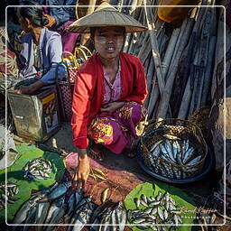 Birmania (580) Inle - Mercato del pesce