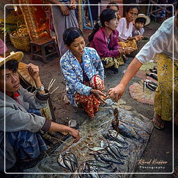 Birmanie (581) Inle - Marché aux poissons