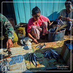 Birmanie (585) Inle - Marché aux poissons