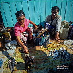 Myanmar (586) Inle - Fish Market