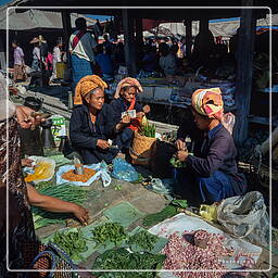 Myanmar (592) Inle - Fischmarkt