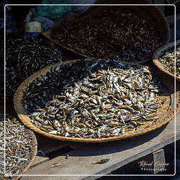 Myanmar (599) Inle - Fischmarkt