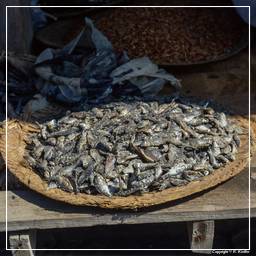 Birmania (600) Inle - Mercato del pesce