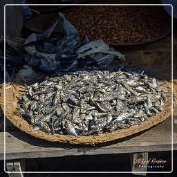 Inle - Fish market, Myanmar (600)
