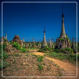 Inle - Shwe Indein Pagoda, Myanmar (605)