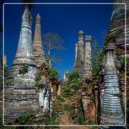 Myanmar (606) Inle - Shwe Indein Pagoda