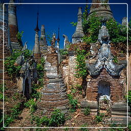 Myanmar (607) Inle - Shwe Indein Pagode