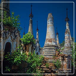 Birmanie (608) Inle - Pagode Shwe Indein