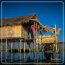 Birmanie (613) Lac Inle