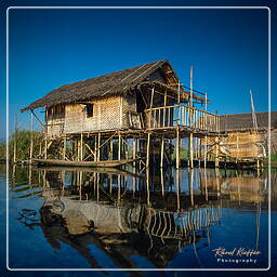 Birmanie (614) Lac Inle