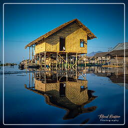 Birmanie (615) Lac Inle