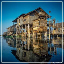 Birmania (616) Lago Inle