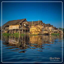 Birmanie (617) Lac Inle