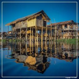 Myanmar (621) Lake Inle