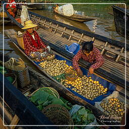 Inle - Floating market, Myanmar (647)