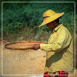 Birmanie (101) Mandalay