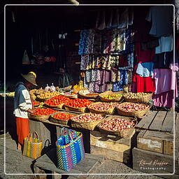 Myanmar (528) Kalaw