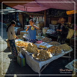Kalaw, Myanmar (529)