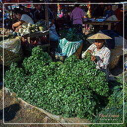 Myanmar (537) Kalaw