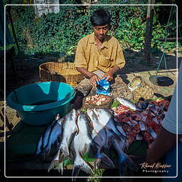 Kalaw, Myanmar (545)