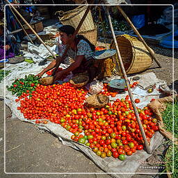 Kalaw, Myanmar (552)
