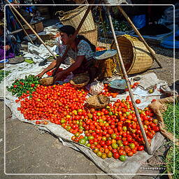 Myanmar (552) Kalaw