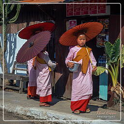 Nyaungshwe, Myanmar (567)