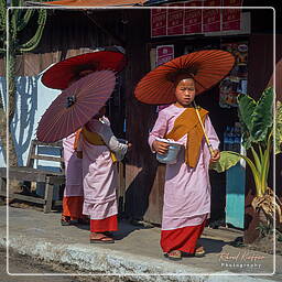 Myanmar (567) Nyaungshwe