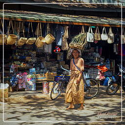 Myanmar (461) Villages