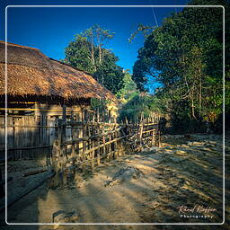 Villages, Birmanie (464)