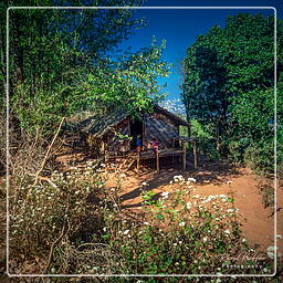 Villages, Birmanie (485)