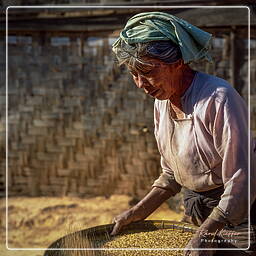 Myanmar (489) Villages