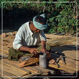 Myanmar (495) Villages