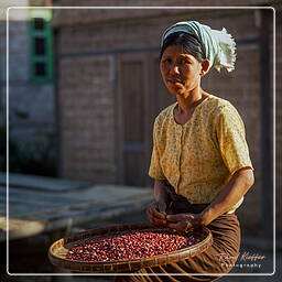 Myanmar (500) Aldeias