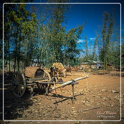 Myanmar (510) Villages