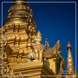 Shwedagon, Myanmar (40)