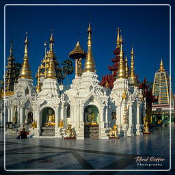 Birmania (41) Shwedagon