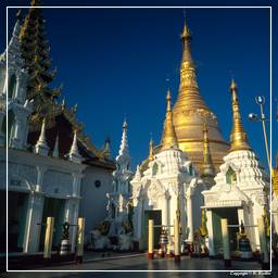 Myanmar (47) Shwedagon