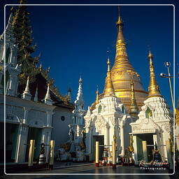 Myanmar (47) Shwedagon