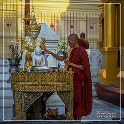 Myanmar (50) Shwedagon