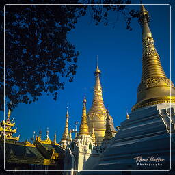 Shwedagon, Myanmar (61)
