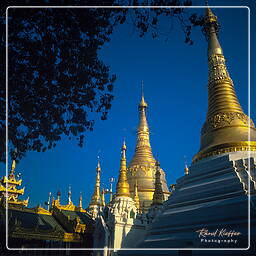 Birmania (61) Shwedagon