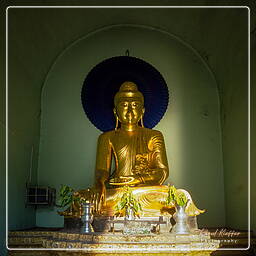 Myanmar (62) Shwedagon