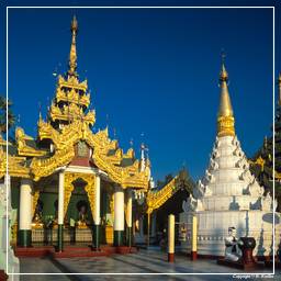 Birmania (64) Shwedagon